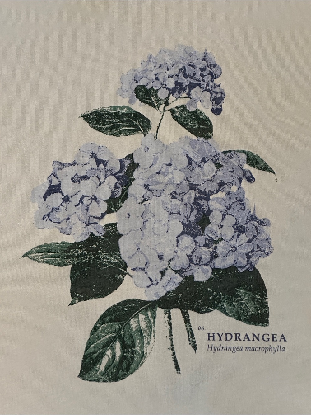 Scotch & Soda Light Sage Green Hydrangea Graphic Tee Sz M - Picture 6 of 9